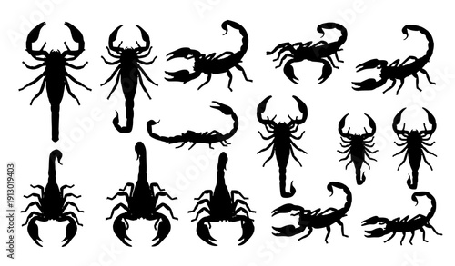 Scientific scorpion silhouette vector collection in black showing anatomy views and biological poses