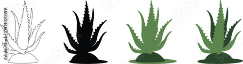 Aloe Vera Plant Vector Set