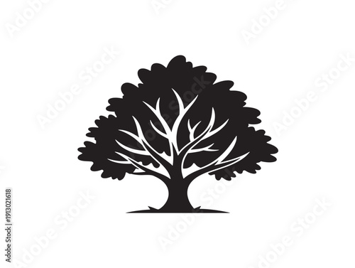 Sunset tree silhouettes with beautiful dramatic evening sky designs