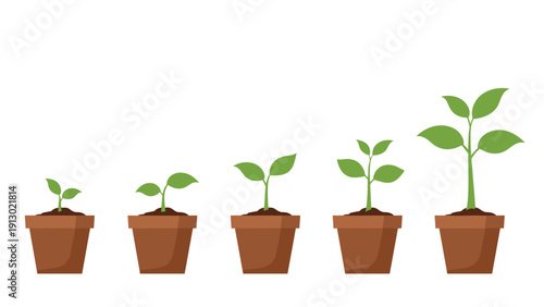 Plant growth stages illustrated in a sequence of five terracotta pots, showing a seedling developing into a leafy young plant.