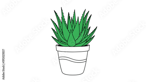 Simple illustration of a green aloe vera plant in a partially drawn pot, suitable for a coloring page or botanical design.