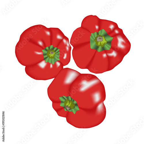 Realistic vector illustration of fresh vegetables
