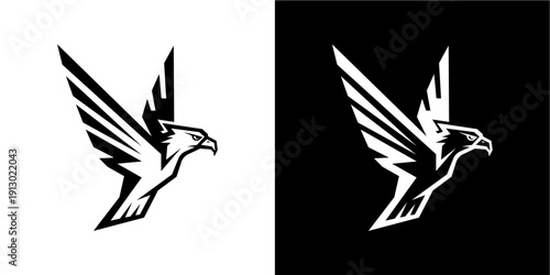 Dynamic black and white abstr...