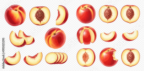 Realistic peaches and nectarines set, whole and sliced fruits with leaves, fresh juicy summer harvest.