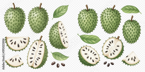 Soursop fruit set with whole, half, and sliced pieces, along with leaves and seeds, on a transparent background.