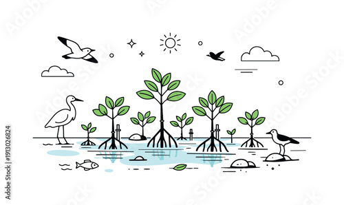 Hopeful Mangrove Restoration. Mangrove restoration. A coastal ecosystem with young mangroves growing in shallow water, birds and roots forming a balanced