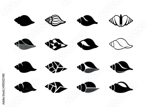   Shell. Icon set. Set Logo of Shell: conch shell side view. harmonious logo variations of the same emblematic concept, each with different