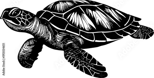 This animal vector illustration features a clean, modern design, using bold lines, contrasting solid colors, and minimalist yet expressive details. Perfect for logos, mascots, stickers, and other crea