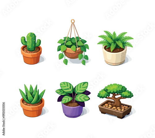    Houseplants. Isometric flat vector icons set of Houseplants: potted cactus, hanging pothos plant, fern in ceramic pot, aloe vera pot,