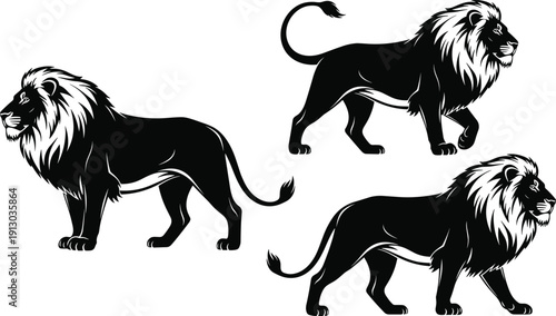 Stylized lion illustrations with bold manes, black and white vector art showing majestic wildlife poses for strength, courage, educational and decorative design projects