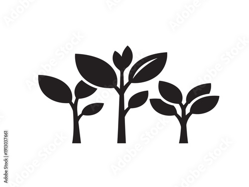 Tender young sapling trees silhouette for beautiful new life nature concepts