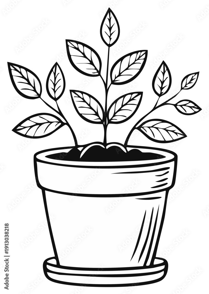Obraz premium Black and white illustration of a potted plant with large leaves, line art style