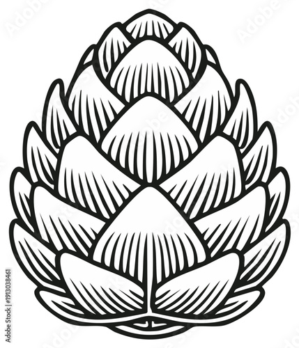 Vintage Style Hop Cone Line Art Icon for Craft Beer and Brewery
