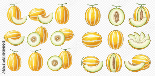 Set of fresh Korean melon fruits, whole and sliced, with sweet yellow skin and green flesh, isolated on transparent background.