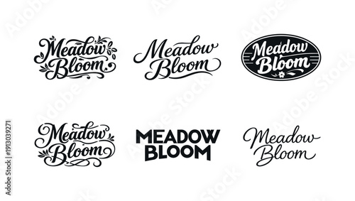 Meadow bloom script. Set lettering. harmonious lettering variations of the same emblematic concept, each with different artistic