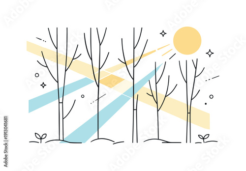 Spring sunlight through bare trees. Abstract composition of tree trunks and light beams crossing the frame. Minimal landscape moment focused
