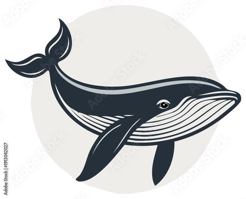 Isolated humpback whale vector illustration rendered in elegant dark line art with an expressive round shape on light background