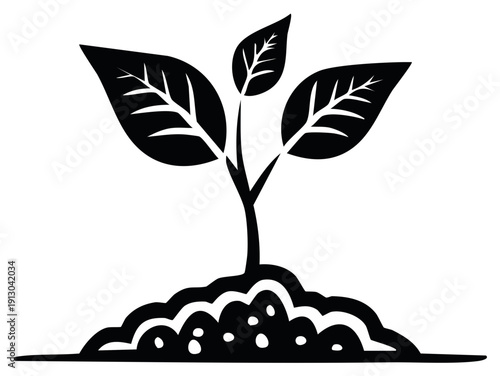 Black and white silhouette of a young plant growing from soil symbolizing new life and growth