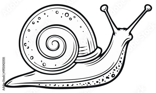 Outline of Snail with Shell and Antennae Illustration Creature Design