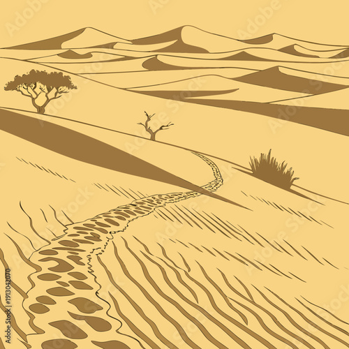 Desert sand dunes shaped by wind, detailed texture