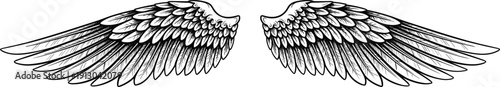 Stylized wings illustration, detailed black and white symmetrical feather design, artistic vector art for fantasy, tattoos, decoration