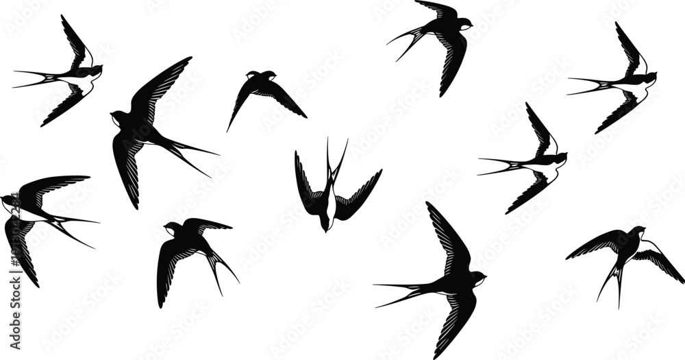 Fototapeta premium Swallow bird silhouettes, flying poses, forked tail design, stylized illustration, minimal vector art, avian motion graphic design