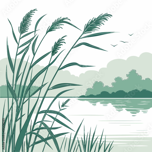 Peaceful lake shore with reeds and calm water lines.