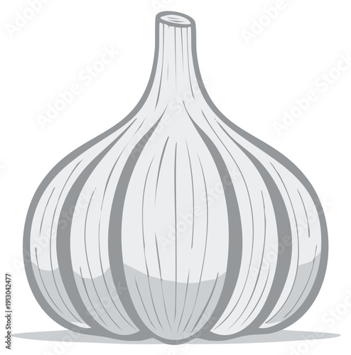 Single garlic bulb illustration, cooking ingredient, culinary flavoring, healthy, raw vegetable, food art, cartoon drawing, vegetarian concept