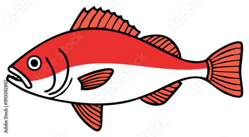 Stylized Red and White Saltwater Fish Illustration with Fins and Tail