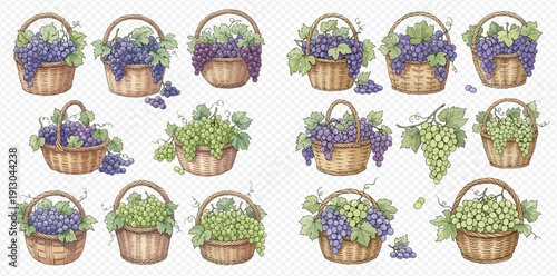 Watercolor illustration set of grapes in baskets, with green and purple varieties and leaves, on a transparent background.