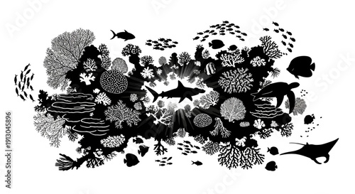 Black and White Ocean Creatures Illustration.