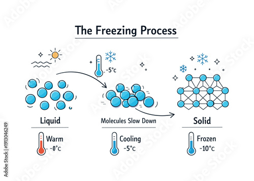 The process of freezing. Abstract diagram showing temperature dropping as molecules slow and align into crystal structure. Clear educational