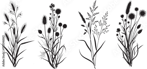 Silhouettes of four distinct bouquets of wild grasses and flowers, elegant black and white design.