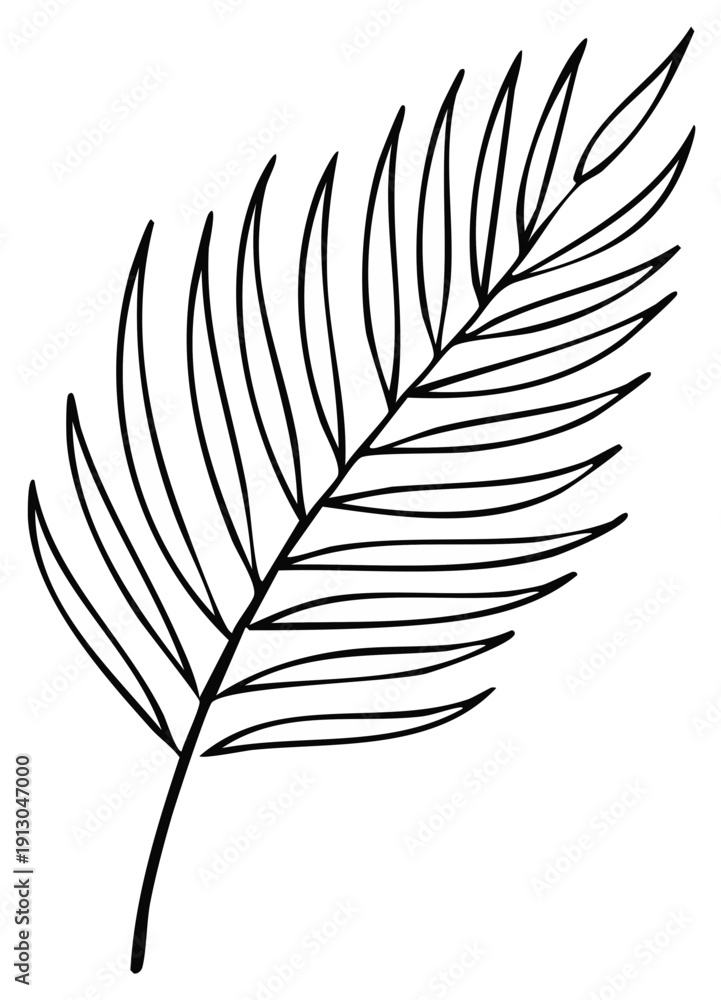 Obraz premium Hand Drawn Tropical Palm Leaf Illustration Black and White Minimalist Line Art