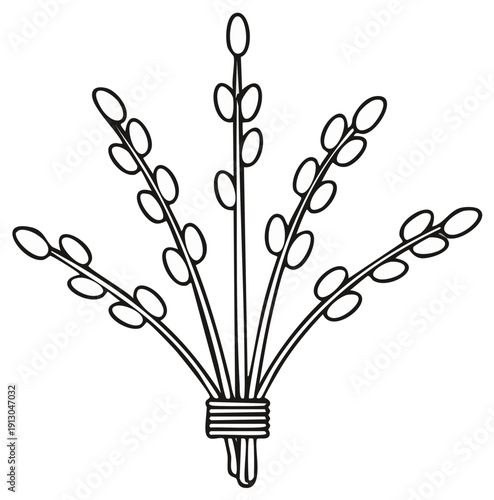 Stylized Pussy Willow Branches Tied Together Outline Vector Illustration For Spring or Easter Designs