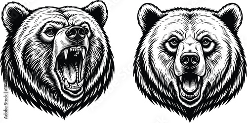 Vector illustration of bear heads with roaring and stern expressions symbolizing wildlife, strength, emotion, nature, education, and decorative design