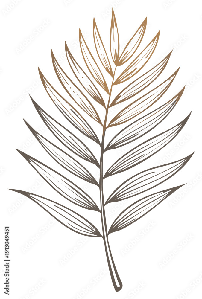 Fototapeta premium Hand Drawn Palm Leaf Branch with Graphic Lines Nature Inspired Illustration