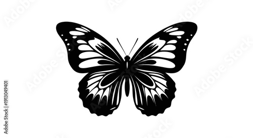 Black and white butterfly illustration.