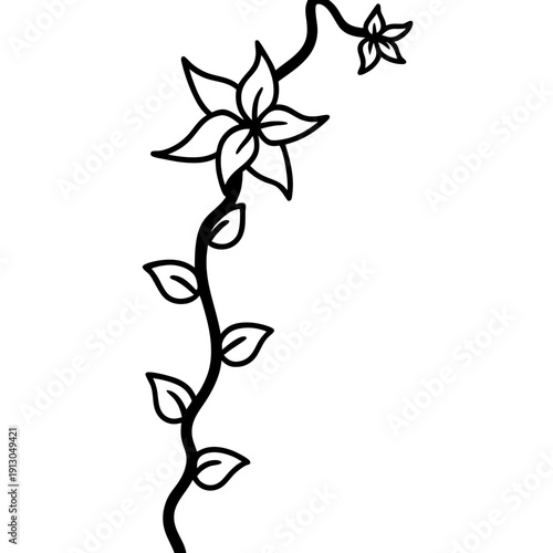 Wood Vamp Vine with Blooms and Hardy Growth - Vector Art