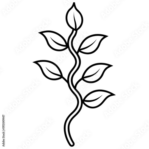 Spiritual Awakening Vine - Dolichos Falcatus with Flowers