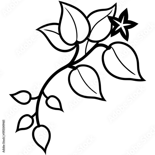 Horse Gram Vine with Flowers and Leaves - Botanical Vector Art