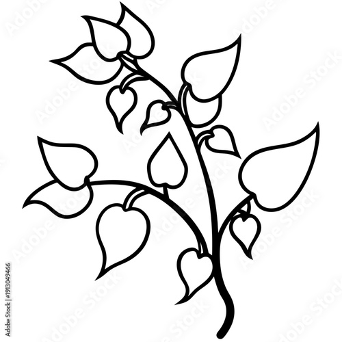 Hyacinth Bean Vine with Flowers - Abundant Growth Vector Art