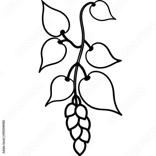 Dolichos Lablab Vine with Blossoms - Abundant Nature Vector