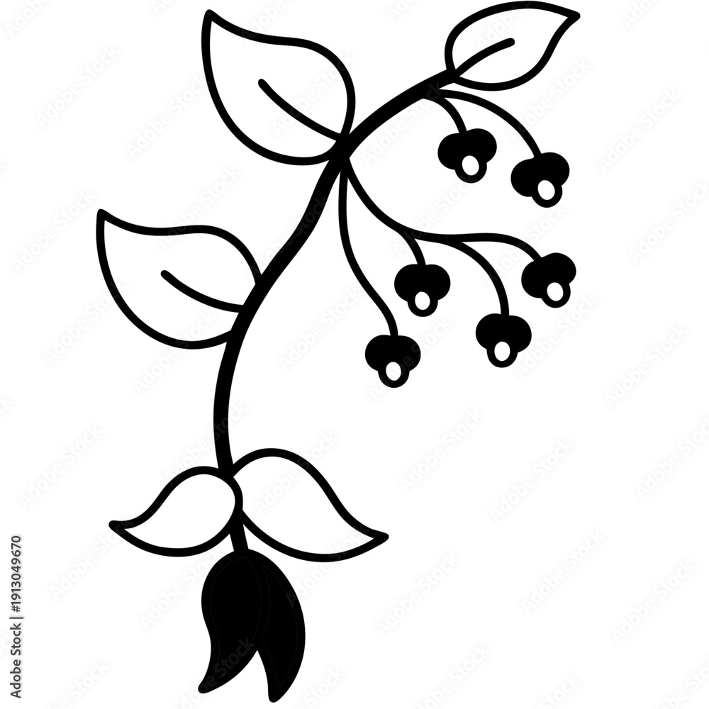 Fototapeta premium Hardenbergia Violacea Happy Wanderer - Exotic Purple Climbing Vine