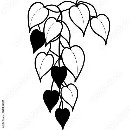 Heart-shaped Hoya Kerrii Sweetheart Vine Plant, Lush Green Foliage, Romantic Symbolism