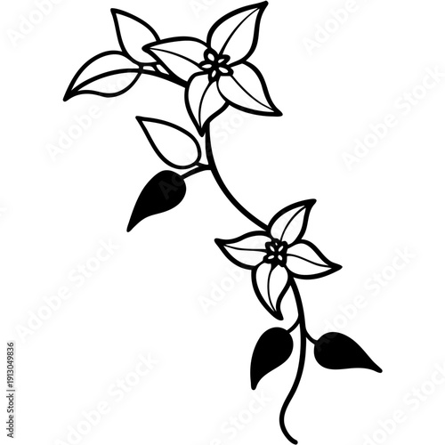 Wax Flower Vine Hoya Carnosa - Sacred Floral Climbing Plant Art