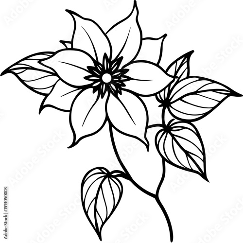 Climbing Clematis Montana Floral Symbol of Hope and Perseverance