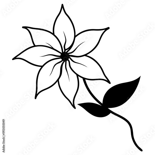 Climbing Clematis Texensis Endurance and Grace Floral Illustration