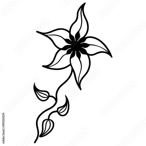 Flame Creeper Vine Combretum Microphyllum Botanical Art 2