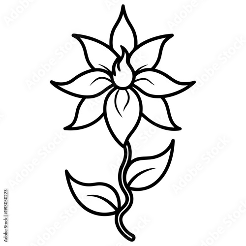 Flame Creeper Vine Combretum Microphyllum Botanical Art 1